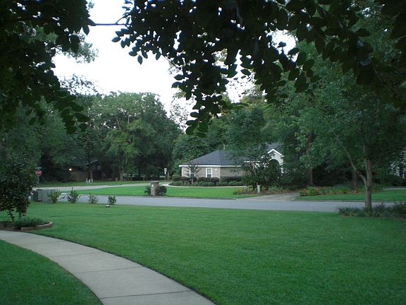 Front yard