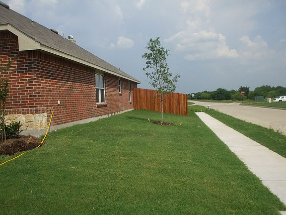 Corner Yard 