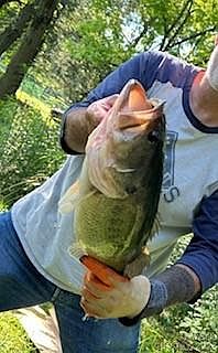 3rd image of 132 Hurd Rd