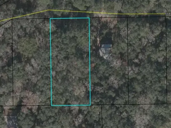 NE 83rd Ave, Old Town, FL 32680