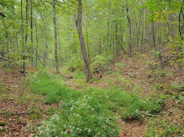 0 Highway 119, Buchanan, TN 38222