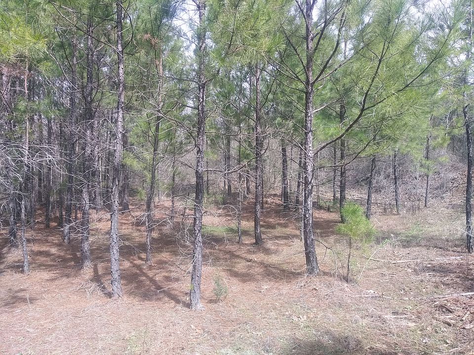 2nd image of Cr 3204
