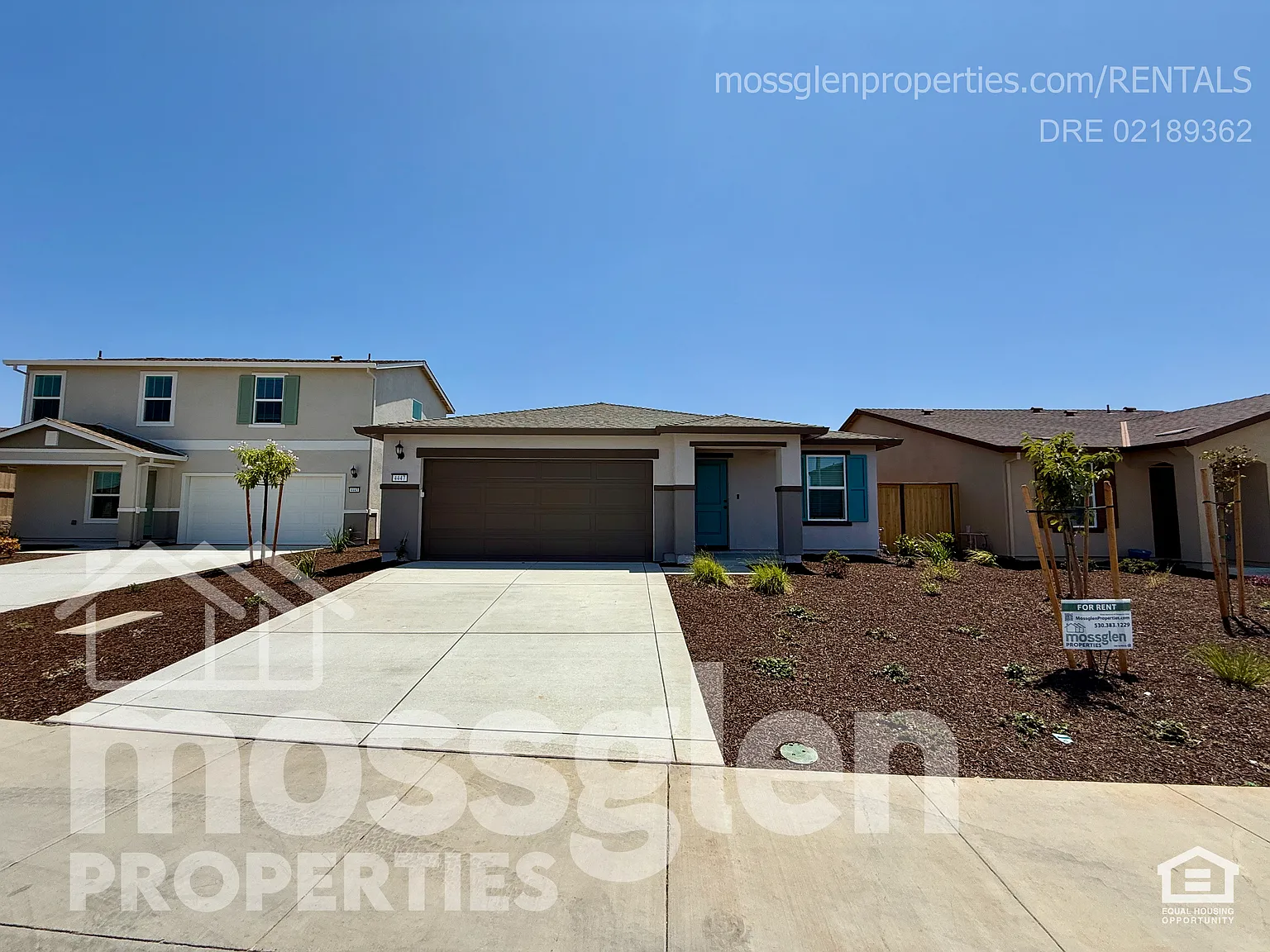 4447 Greenshank Way photo 1