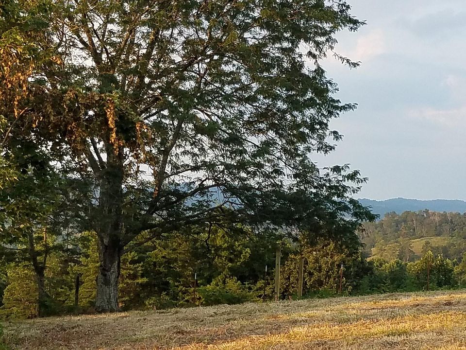1st image of 30 Acres Mountain Valley Rd