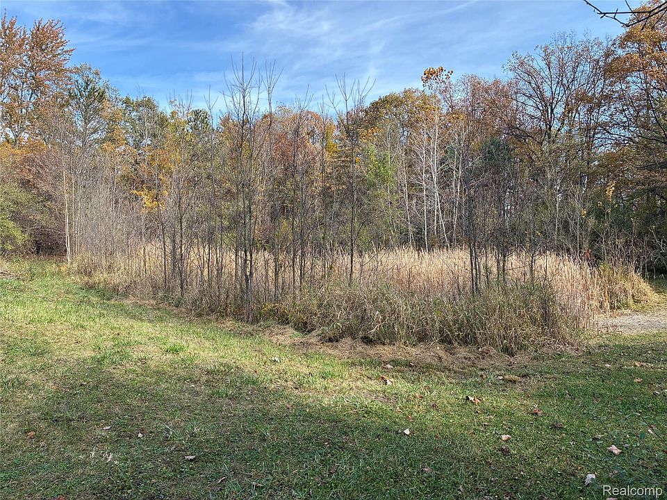 11630 Rynn Rd, photo 20