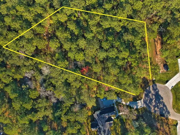 8602 Cedar Meadow Ln, Plantersville, TX 77363