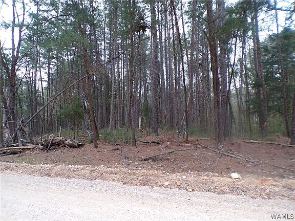 4th image of 13495 Gilbert Tommie Rd