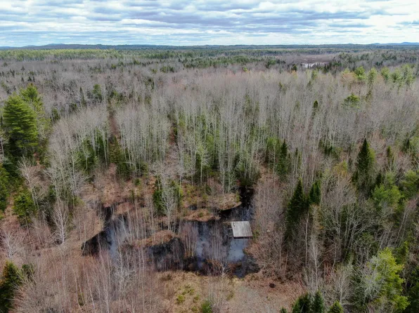 Lot 14-1 Pine Road, Greenbush, ME 04418