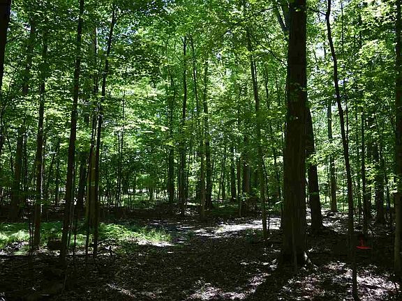 4th image of Kilgore Road