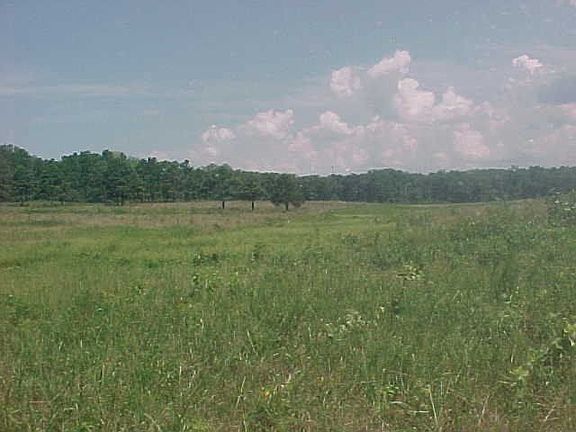 5th image of 3747 Cr 4410