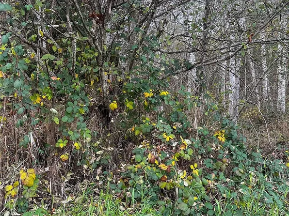 7615 Sprucecrest Street SW, Olympia, WA 98512