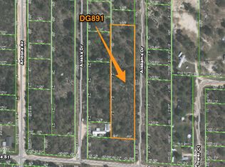 102 Alabama Dr, Hawthorne, FL 32640