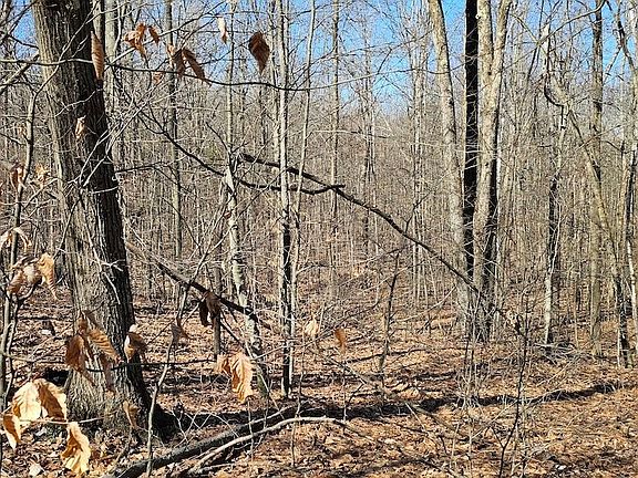5th image of S Hill Rd