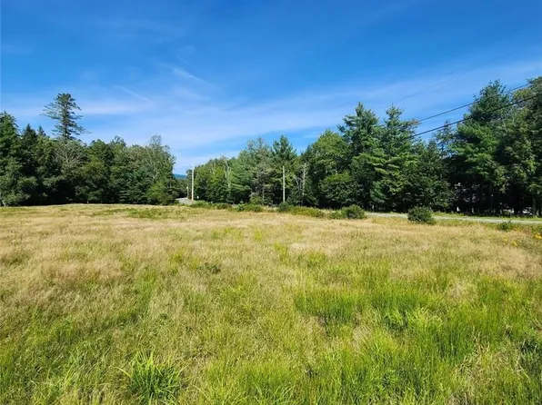 State Rte 42 & Walker Rd., Grahamsville, NY 12740