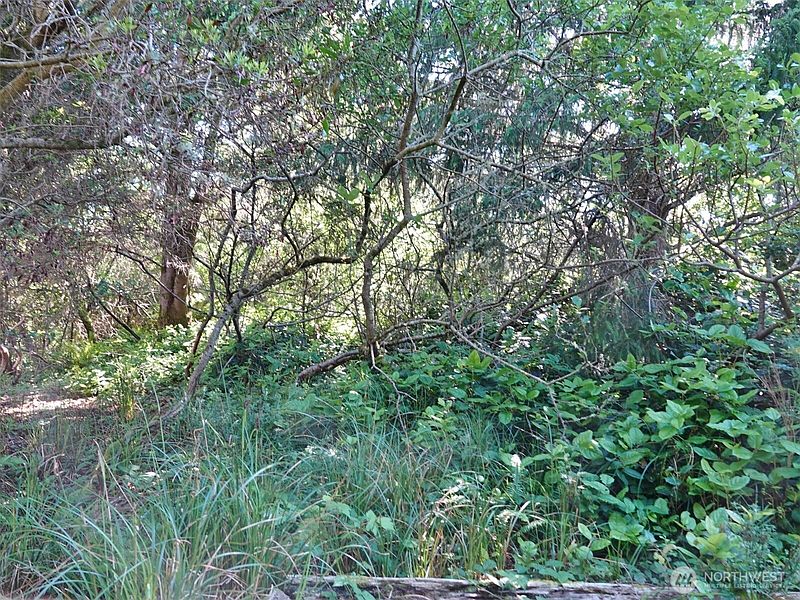 4th image of 223 Muskrat Court SW