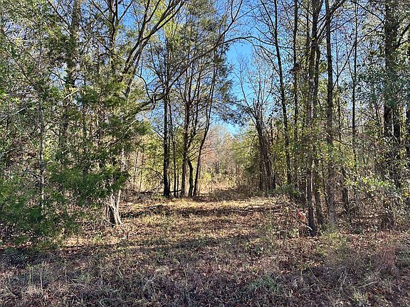 2nd image of 0 Peaceful Valley Rd