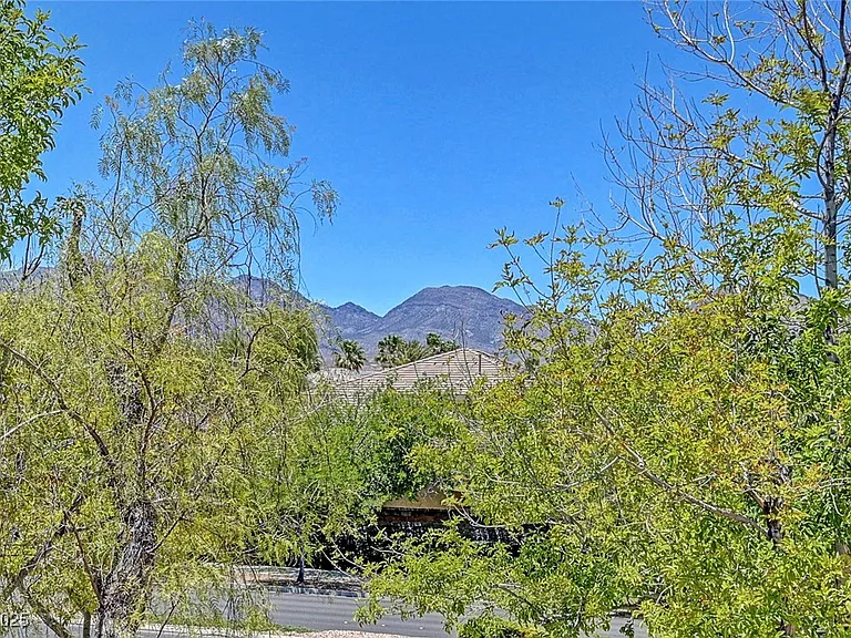 229 N Buteo Woods Ln — Photo 65
