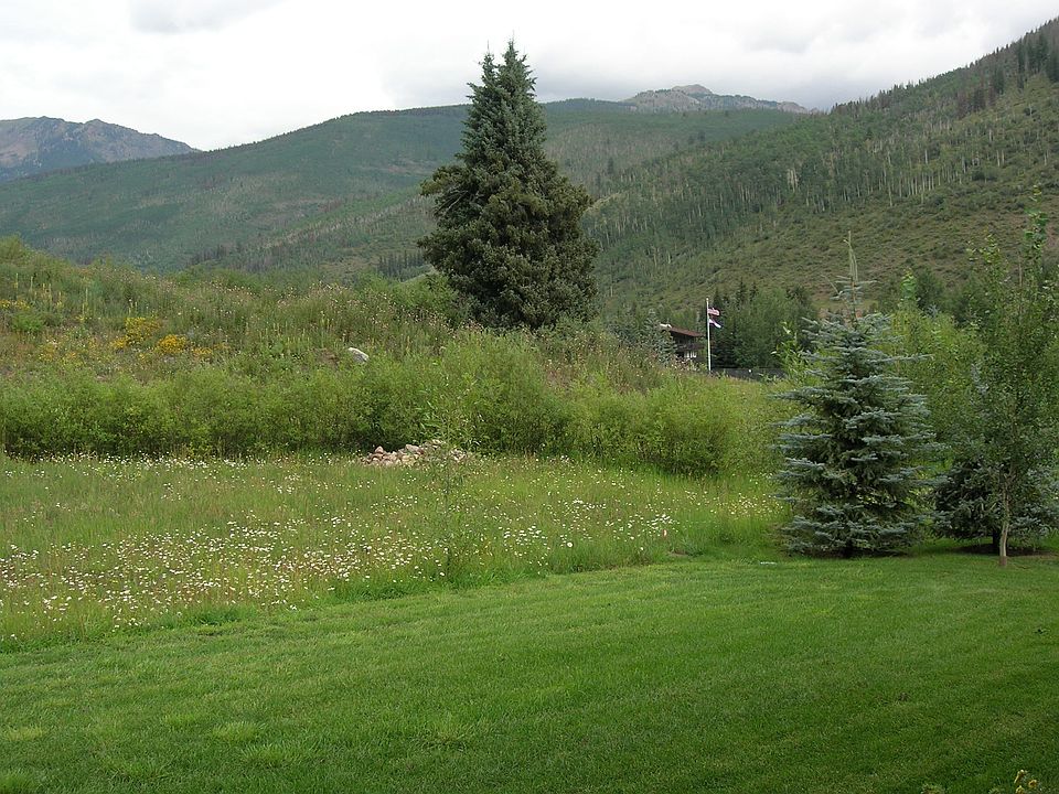 Our Backyard
