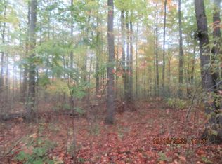 S Mount Tom Rd, Mio, MI 48647