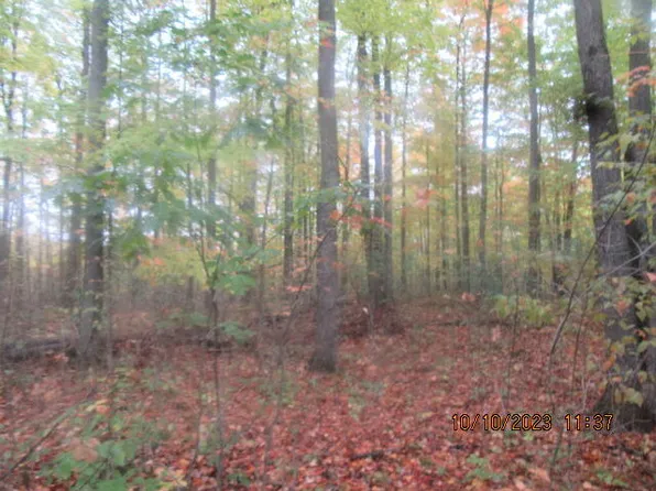 S Mount Tom Rd, Mio, MI 48647