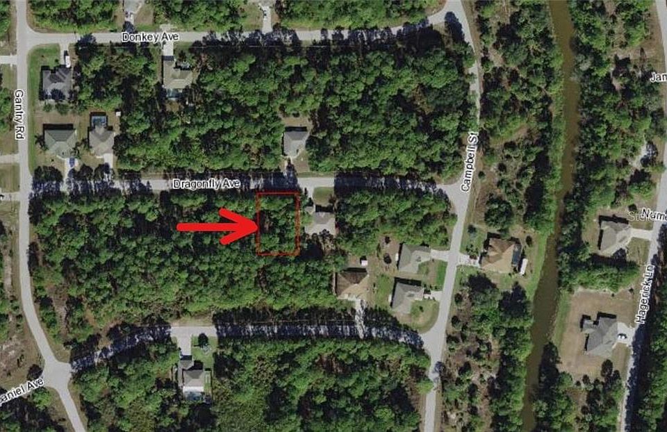 2nd image of Dragonfly Ave