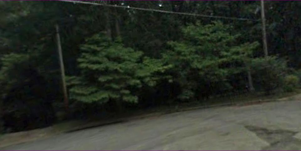 .9 acre cul-de-sac lot 25