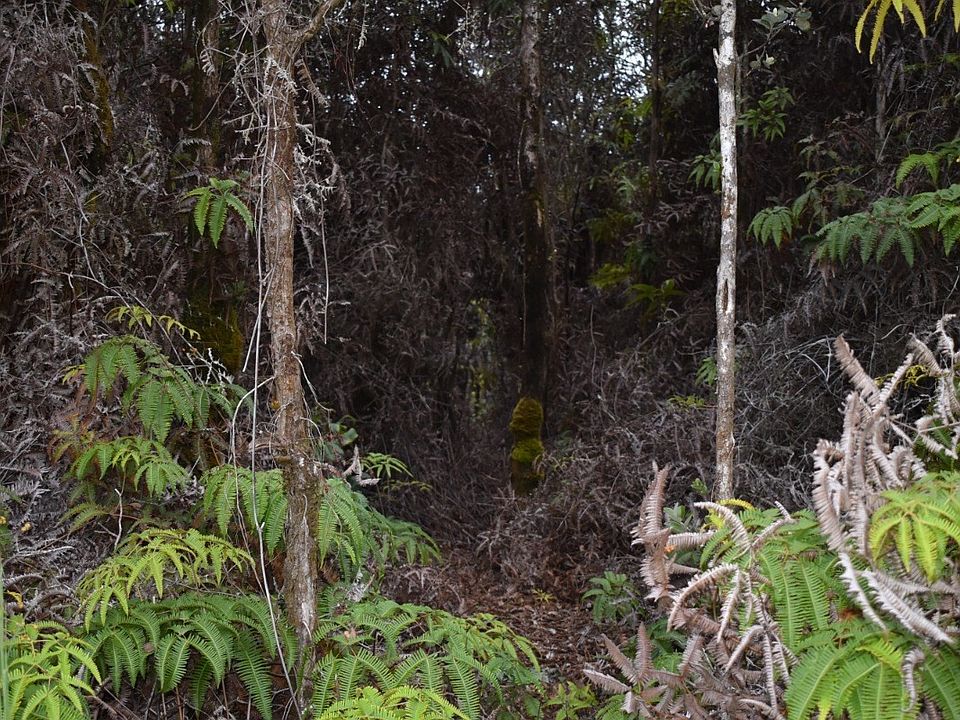 1st image of Nahelenani St Lot 53-B
