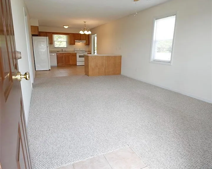 Entry/Living room