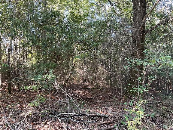 5th image of 34400 Rose Hill Rd
