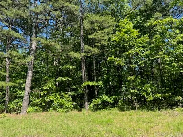 7 Southview Ln, Bigelow, AR 72016