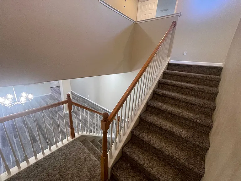 836 Shasta Daisy Dr — Photo 21