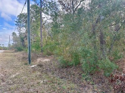 13320 Potomac Ave #6, Brooksville, FL, 34614