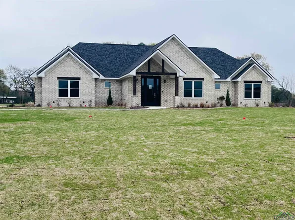 130 Clover Rd, Diana, TX 75640
