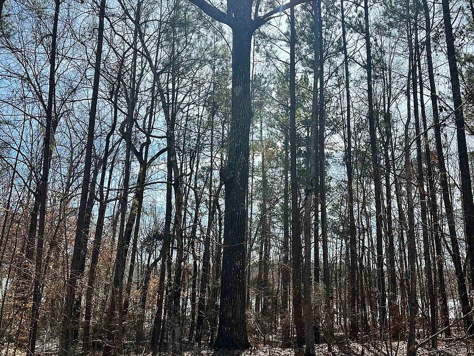 1st image of 109 Northshore Dr #3.5