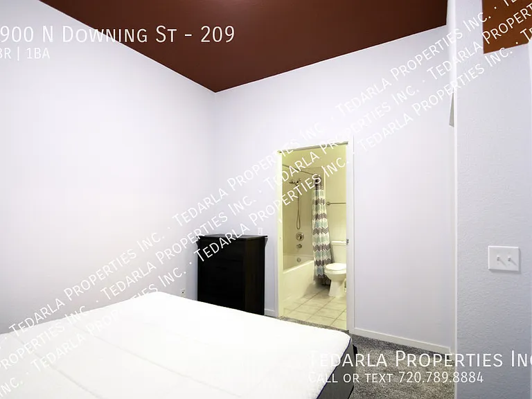 2900 N Downing St #209 — Photo 7