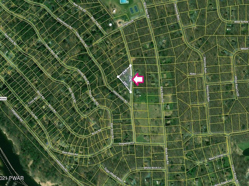 2nd image of 43 Bear Tree Rd