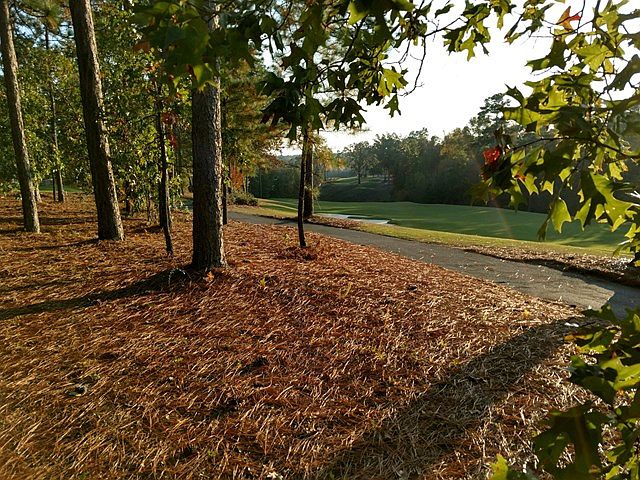 1st image of 234 Highland Reserve Ct
