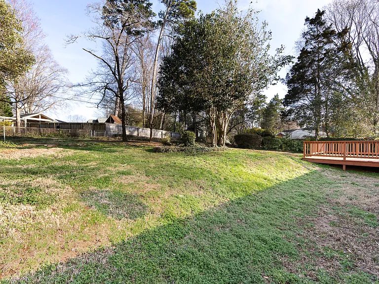 PHOTO AGAIN OF BACKYARD