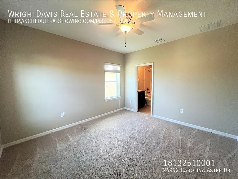 26992 Carolina Aster Dr — Photo 17