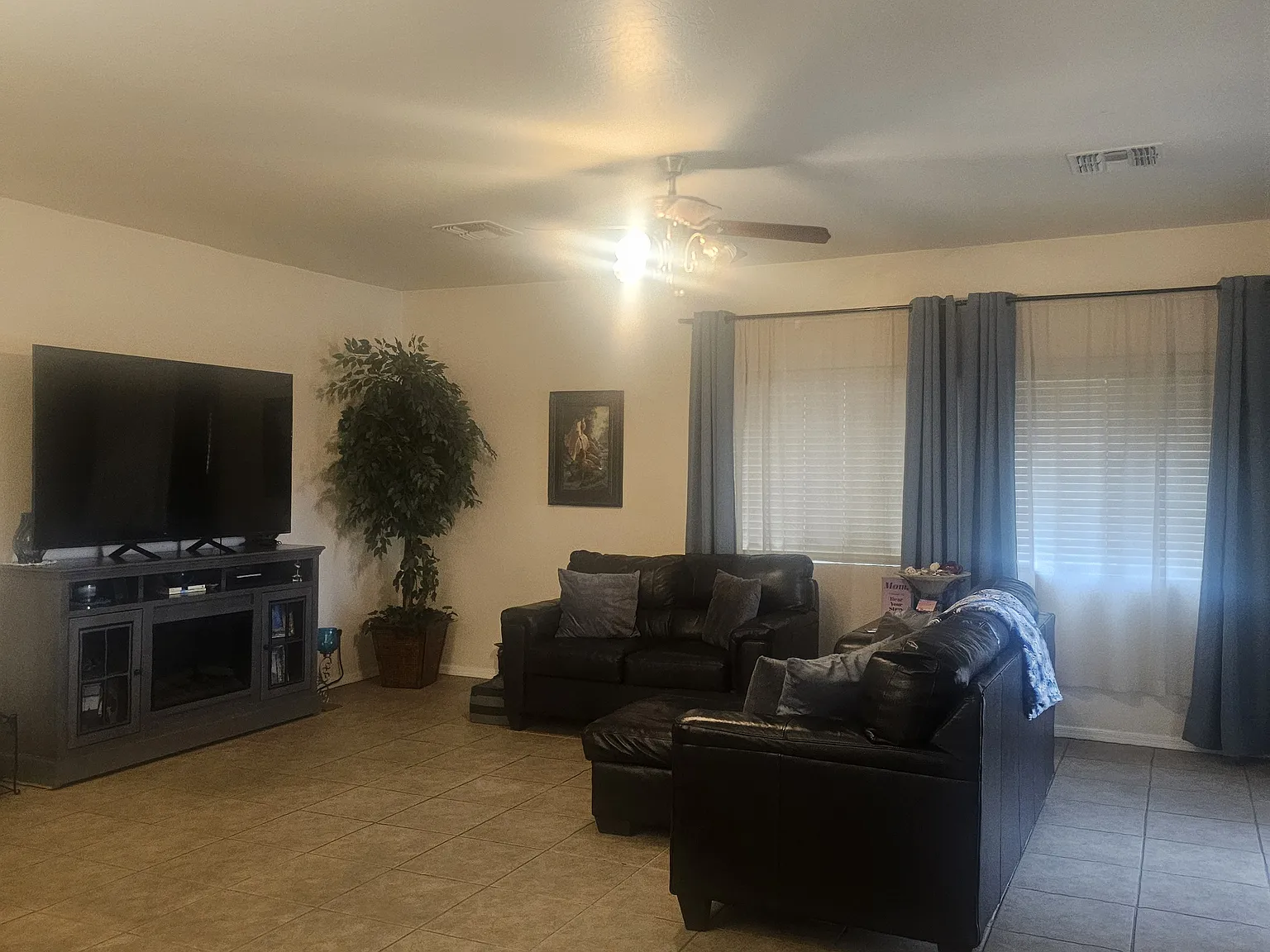 N 91st Ln, Phoenix — Photo 3