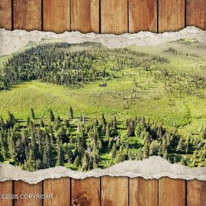 69600 Indy Ave, Anchor Point, AK, 99556