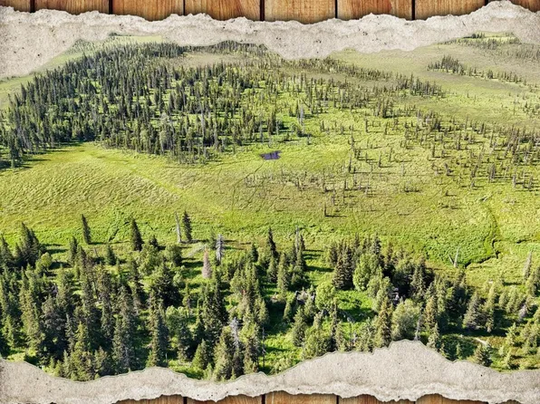 69600 Indy Ave, Anchor Point, AK 99556