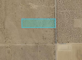 36 Tehachapi Willow Springs Rd, Rosamond, CA 93560