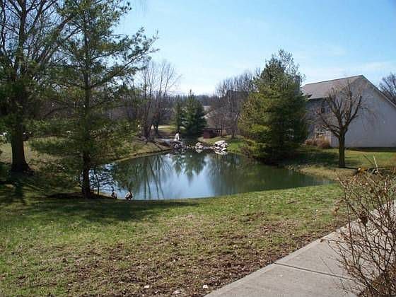 1st image of 3426 Windham Lake Ct
