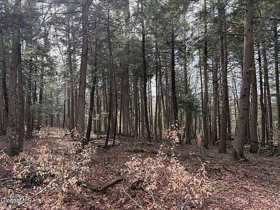 5th image of 0 Becker Road