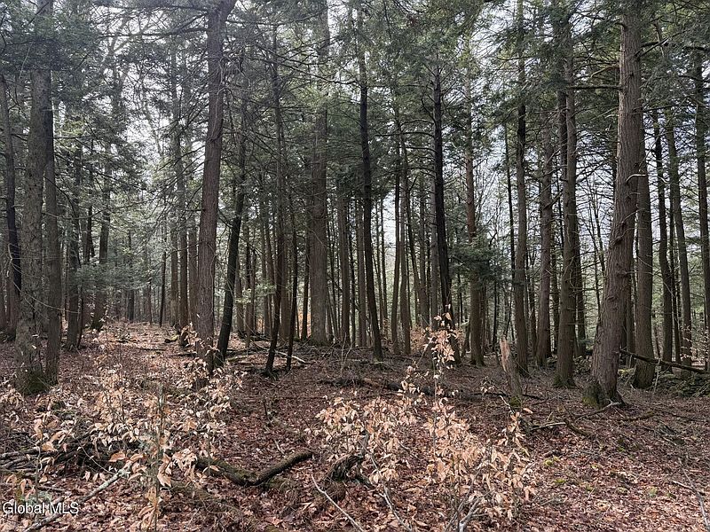 5th image of 0 Becker Road