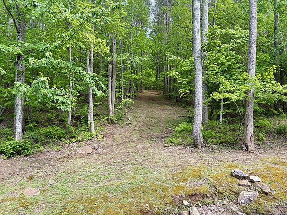 4th image of 0 Raulston Falls Rd Lot 105