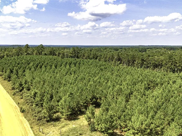 Stutts Hill Rd, Livingston, TX 77351