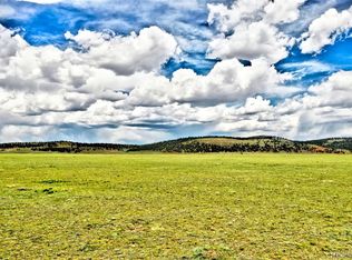 53 Augustine Rd, Hartsel, CO 80449