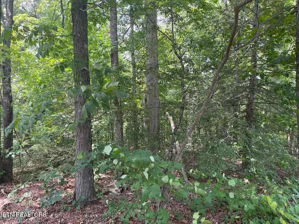 LOT 19 Somerset Ln, Sevierville, TN 37862